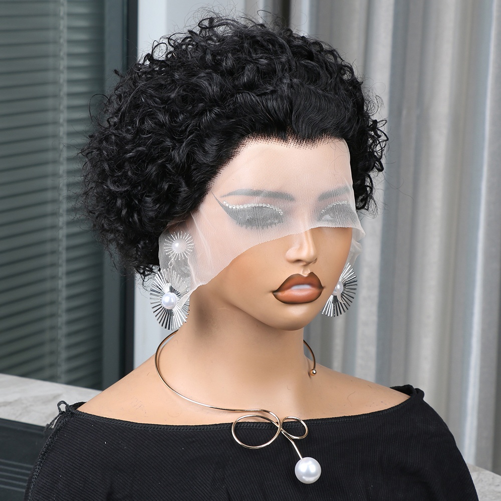 Pixie Cut Wig Human Hair 13x4  - Short Pixie Cut Wig Human Hair Cheap 评论和价格