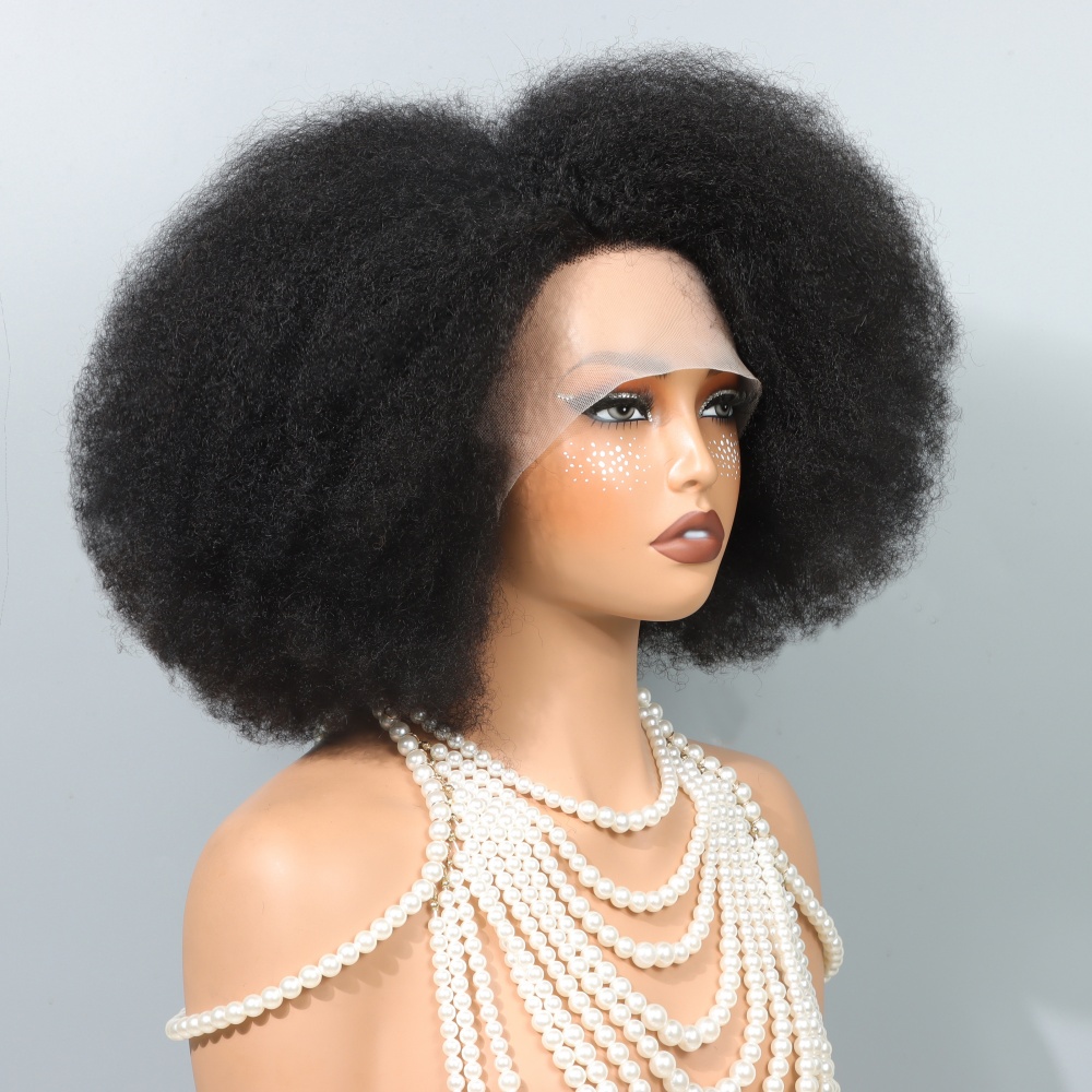 14 Inch Afro Wigs for Black Wo - Glueless Wear And Go Human Hair Wig 评论和价格