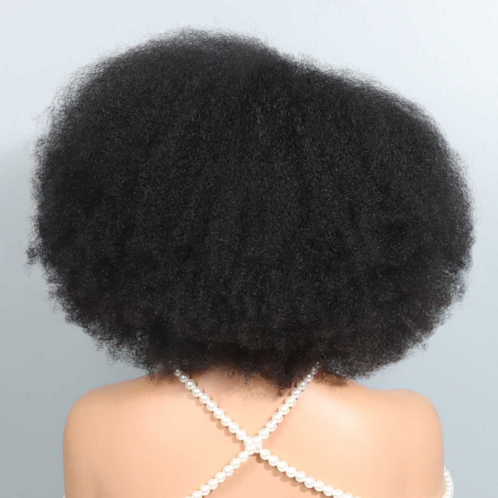14 Inch Afro Wigs for Black Wo - Glueless Wear And Go Human Hair Wig 评论和价格